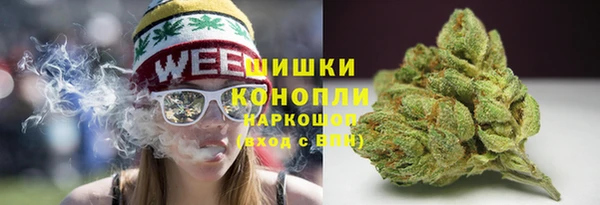 ешки Вяземский