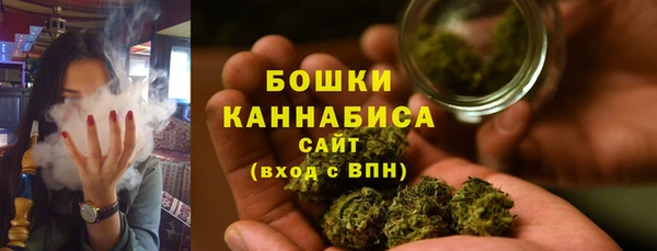 МДПВ Вязьма