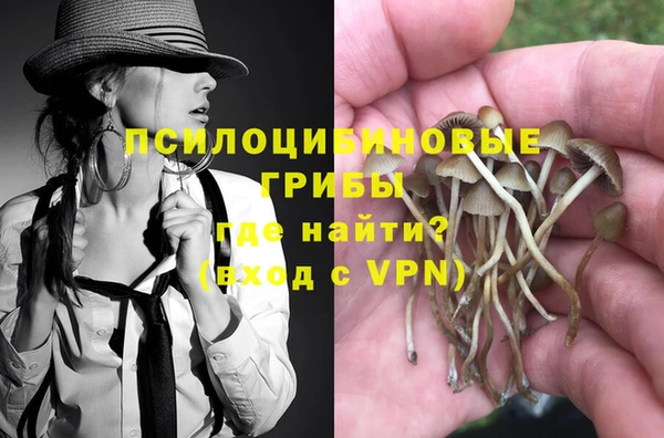 МДПВ Вязьма