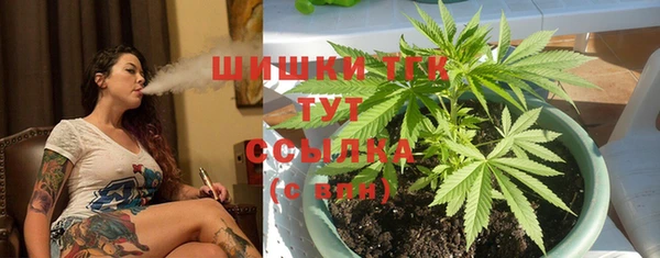 МДПВ Вязьма