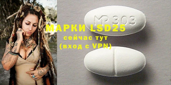 ешки Вяземский
