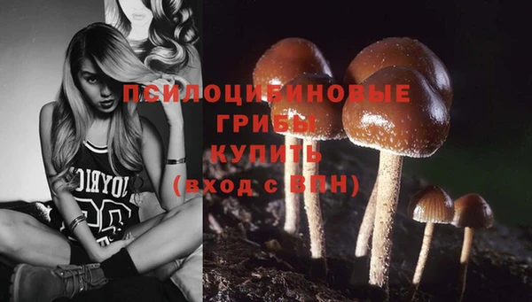 ешки Вяземский