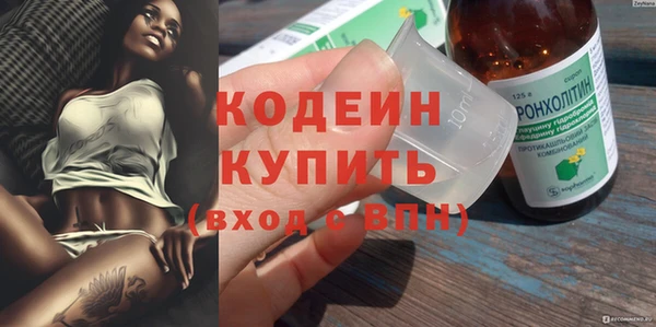 ешки Вяземский