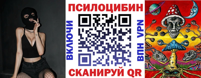 Галлюциногенные грибы мицелий  что такое   Знаменск 